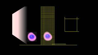 CH 7102 - Animation 1: Virtual Flow Cytometer