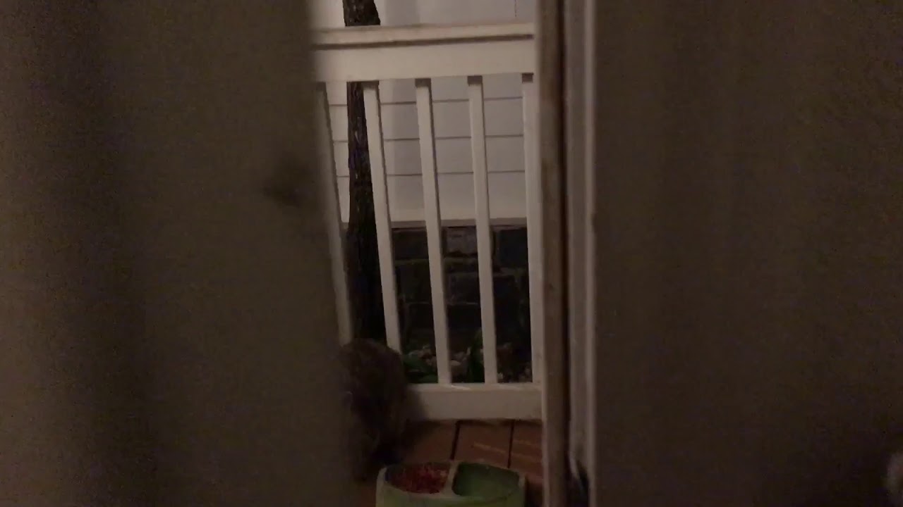 Sharing Supper With Some Friends YouTube