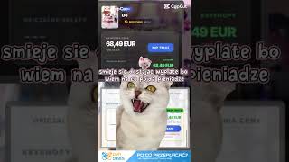 Wiadomo że pieniądze przeznacze na gierki z Pandeals #gamer #cat #memes #memy #funny #viral #gaming