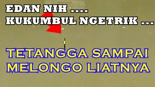 EDAN NIH ‼️ TETANGGA SAMPAI MELONGO LIHAT KUKUMBUL NGETRIK TERUS MANCING IKAN MAS