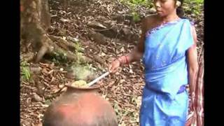 Oil Collection Of Karanja Seed Oriya Pragati Odisha