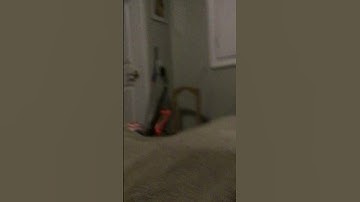 My first loop.  #foryou #loop #myfirstloop #cool #memes