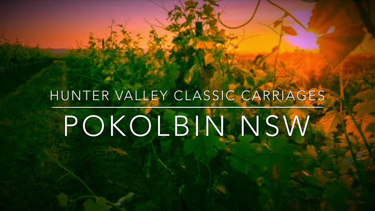 Hunter Valley Classic Carriages - Autumn Adventures - Book Now - Pokolbin NSW