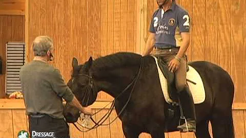 Dressage training with Christoph Hess, German Judg...