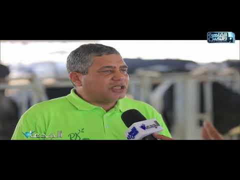 م حسن سالم 100 رأس الحد الأدنى لإقامة مشروع إنتاج حيواني ناجح 