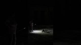 Massive Cuba blackouts hit as Raul Castro indictment shakes regime #shorts