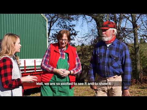 Video: Christmas Tree Farm nell'area di Memphis
