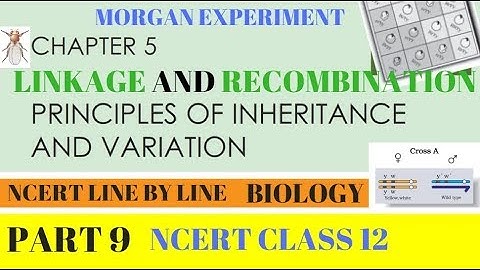 Part-9 PRINCIPLES OF INHERITANCE (LINKAGE AND RECOMBINATION) chapter-5 NCERT class 12th Biology