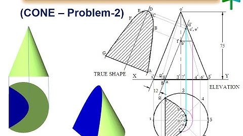Section of Cone (Problem - 2)