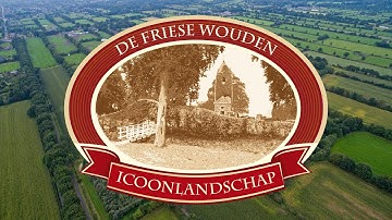 De Friese Wouden Icoonlandschap