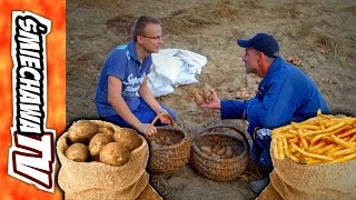 Wykopki "u Szwagra" - Video Dowcip