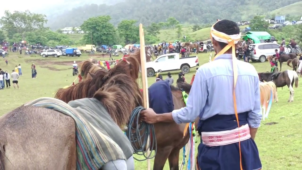 Atraksi Pasola Lamboya-Sumba Barat-NTT 2026