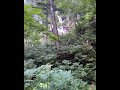 Daisetsuzan Summer Hokkaido