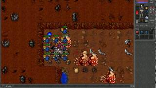 Tibia Magebomb