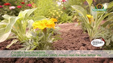 Sluggo® Slug & Snail Killer TV commercial