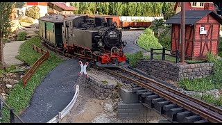 Sächsische Schmalspurbahn 5  LGB / Gartenbahn / Spur G