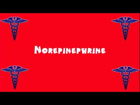 Pronounce Medical Words ― Norepinephrine - YouTube