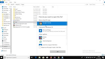 Software Testing | Practical 3 - Install Selenium server Selenium RC and demonstrate it