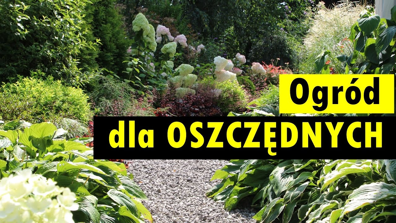 Jak tanio zrobić ogród?