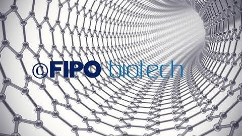FIPO BIOTECH ,  stream sediment transition from subcritical to supercritical flow