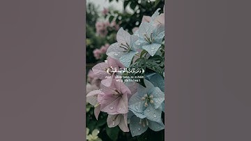 سورة التغابن✨اللهم صلي وسلم وبارك على سيدنا محمد💗#القرآن_كل_يومين#القرآن_يهدئ#راحة_نفسية#القرآن_نور