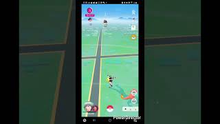 R & Ryan Playing Pokémon GO While His Mom Has People Over?!