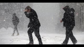 Panthers Bruins game postponed due to severe winter weather