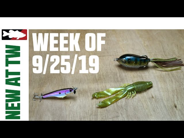 What's New at Tackle Warehouse w. Jake Cotta - 9/25/19 