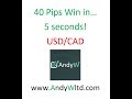 50 PIPS a Day Simple Forex Trading Strategy - YouTube