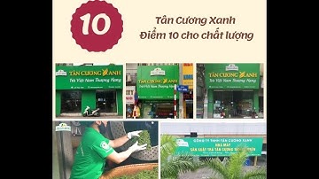 Trà thái nguyên ngon - hệ thống Tân Cương Xanh