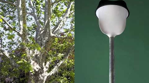 Lumnezia - ECAL/Carlo CLopath