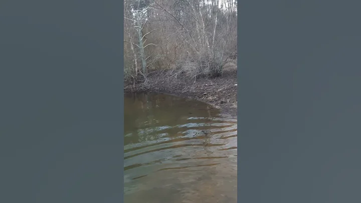 fourWeller that can drive on water just kidding