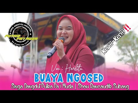 BUAYA NGOSED - VOC : ELIZAH | PUTRA PA