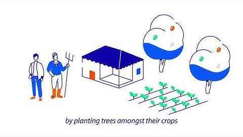 Carbon offsetting with Acorn - Rabobank