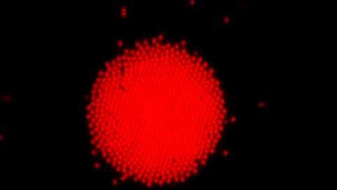 REP: Scattering dynamics 2