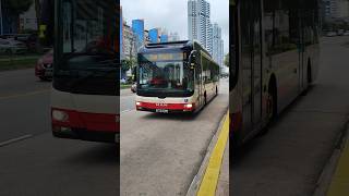 [DEBUT|ECDEP FD] SMB339J 31