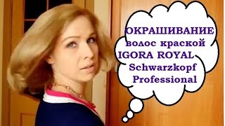 ОКРАШИВАНИЕ волос дома профессиональной краской IGORA ROYAL Schwarzkopf Professional(, 2015-03-26T16:11:12.000Z)