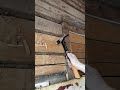 Видео для отзыва на Айрек. Молоток-гвоздодер столярный FISKARS 20oz/13.5"