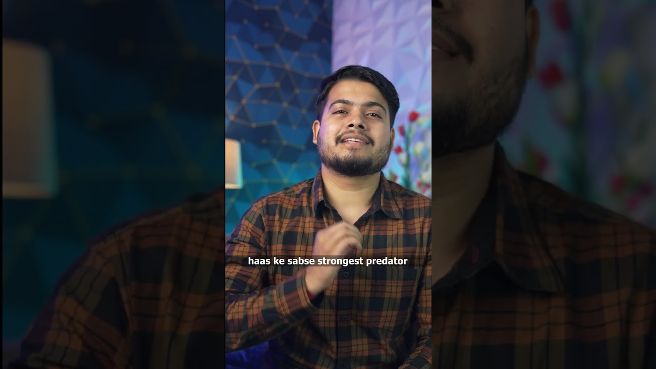 Ye Indian Dinosaur Tha Sabkaa King Rajasaurus