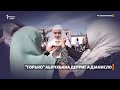 "Горько" аьлчхьана дерриг а дIанисло