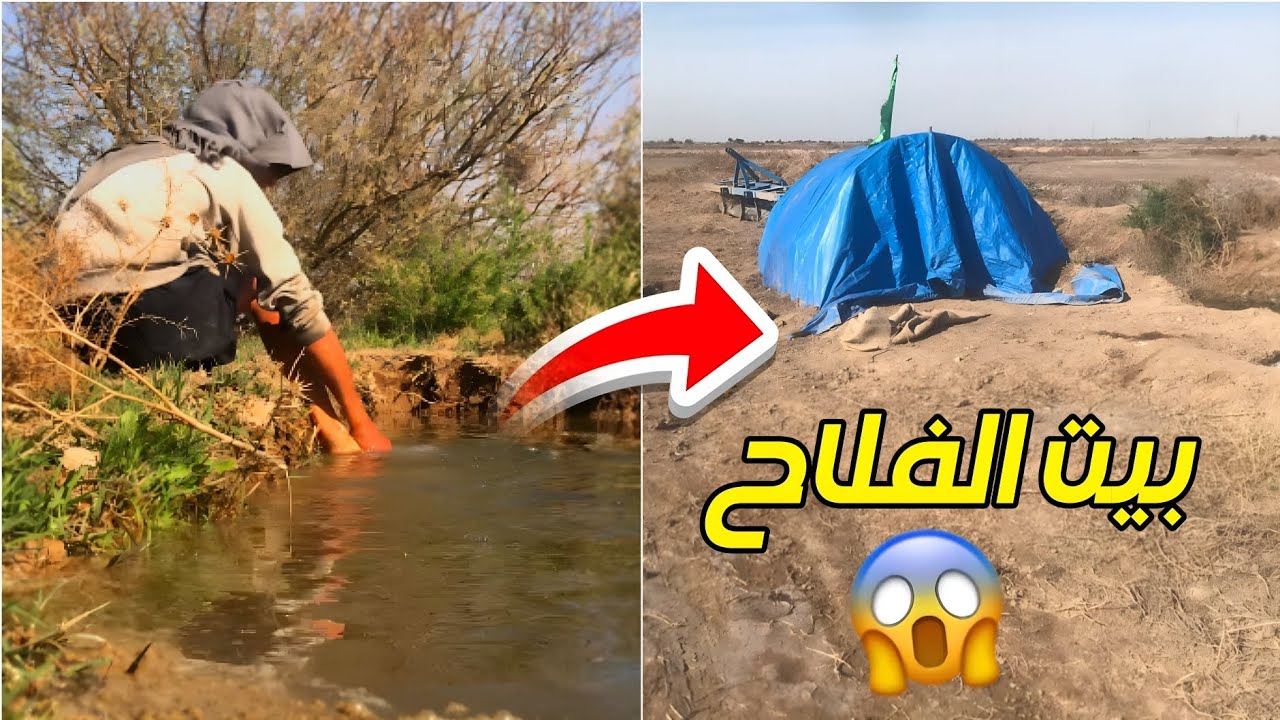 تجربه حياه الفلاح 😱