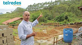 Como deve ser a organização das fases produtivas na instalação?
