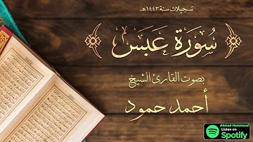 سورة عبس | الشيخ القارئ أحمد حمود | لبنان