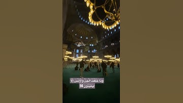 سورة الذاريات #تلاوات #قران_كريم #تلاوة_خاشعة  #quran