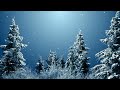 3 Hours of Nostalgic Christmas Music || Lo-Fi Mix