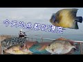 [胖咪]今天釣的魚都好漂亮／ 第一次釣到那麼特別的魚