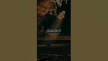 سبحانه إذا قضى أمرا فإنما يقول له كن فيكون | من سورة مريم القارئ عبد الباسط عبد الصمد