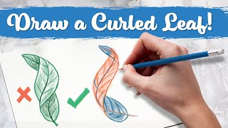 Draw Leaves Correctly & Common Errors Beginners Make