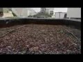 Commercial Composting from Green by Nature
