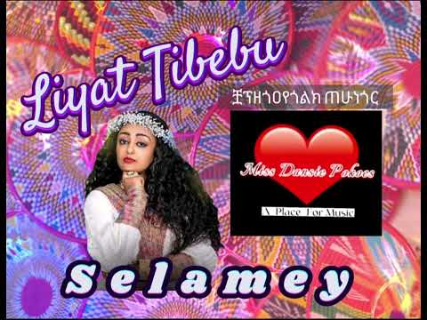 Selamey Liyat Tibebu